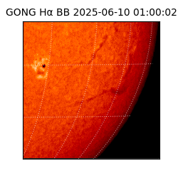 gong - 2025-06-10T01:00:02