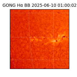 gong - 2025-06-10T01:00:02