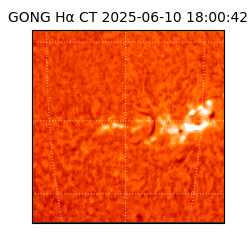 gong - 2025-06-10T18:00:42