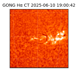 gong - 2025-06-10T19:00:42