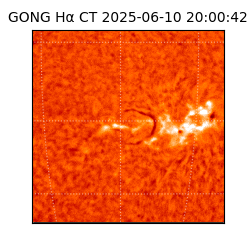 gong - 2025-06-10T20:00:42