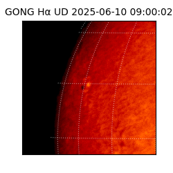 gong - 2025-06-10T09:00:02