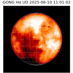 gong - 2025-06-10T11:01:02