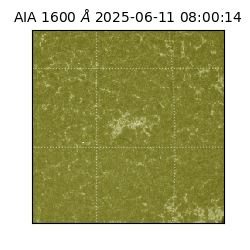 saia - 2025-06-11T08:00:14.126000