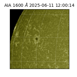 saia - 2025-06-11T12:00:14.132000