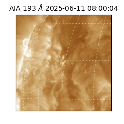 saia - 2025-06-11T08:00:04.843000