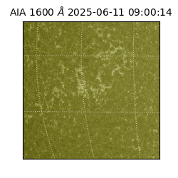 saia - 2025-06-11T09:00:14.129000