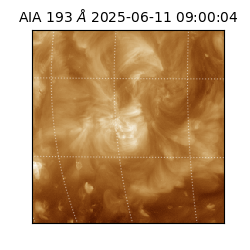 saia - 2025-06-11T09:00:04.843000