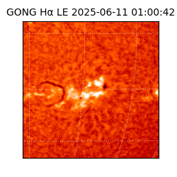 gong - 2025-06-11T01:00:42