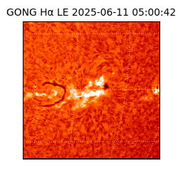 gong - 2025-06-11T05:00:42