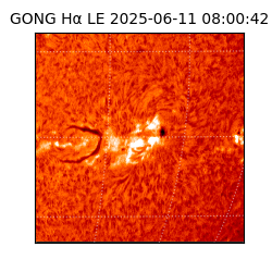 gong - 2025-06-11T08:00:42