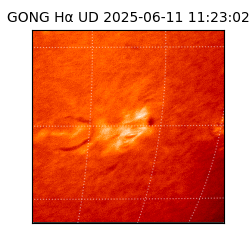 gong - 2025-06-11T11:23:02