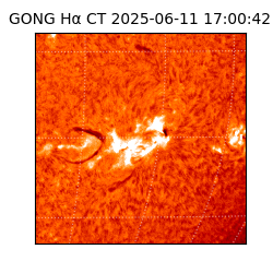 gong - 2025-06-11T17:00:42