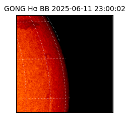 gong - 2025-06-11T23:00:02