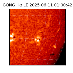 gong - 2025-06-11T01:00:42
