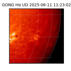 gong - 2025-06-11T11:23:02