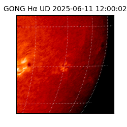 gong - 2025-06-11T12:00:02