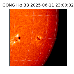 gong - 2025-06-11T23:00:02