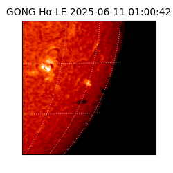 gong - 2025-06-11T01:00:42