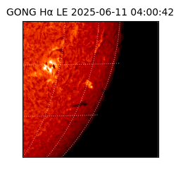 gong - 2025-06-11T04:00:42