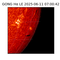 gong - 2025-06-11T07:00:42