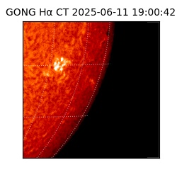 gong - 2025-06-11T19:00:42