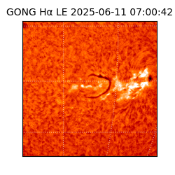 gong - 2025-06-11T07:00:42