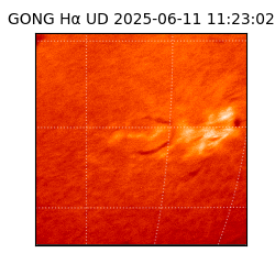 gong - 2025-06-11T11:23:02