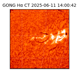 gong - 2025-06-11T14:00:42