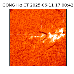 gong - 2025-06-11T17:00:42