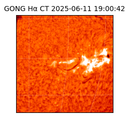 gong - 2025-06-11T19:00:42