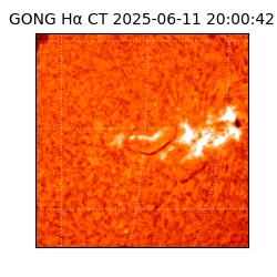 gong - 2025-06-11T20:00:42