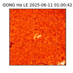 gong - 2025-06-11T01:00:42