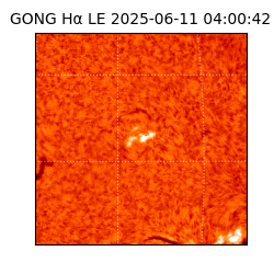 gong - 2025-06-11T04:00:42