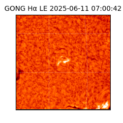 gong - 2025-06-11T07:00:42