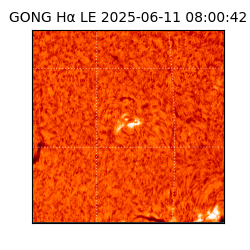 gong - 2025-06-11T08:00:42