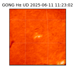 gong - 2025-06-11T11:23:02