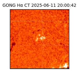 gong - 2025-06-11T20:00:42