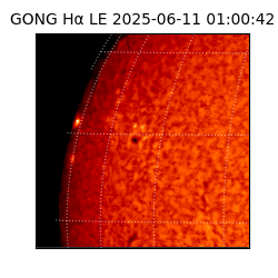 gong - 2025-06-11T01:00:42