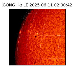 gong - 2025-06-11T02:00:42