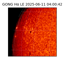 gong - 2025-06-11T04:00:42