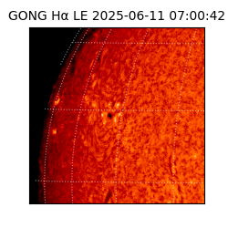 gong - 2025-06-11T07:00:42