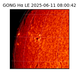 gong - 2025-06-11T08:00:42