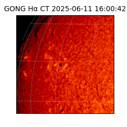 gong - 2025-06-11T16:00:42