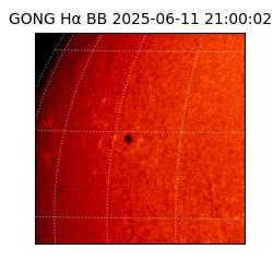 gong - 2025-06-11T21:00:02