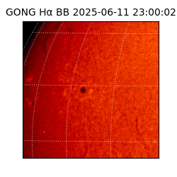 gong - 2025-06-11T23:00:02