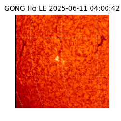 gong - 2025-06-11T04:00:42