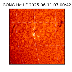 gong - 2025-06-11T07:00:42