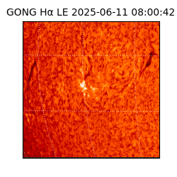 gong - 2025-06-11T08:00:42