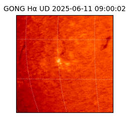 gong - 2025-06-11T09:00:02